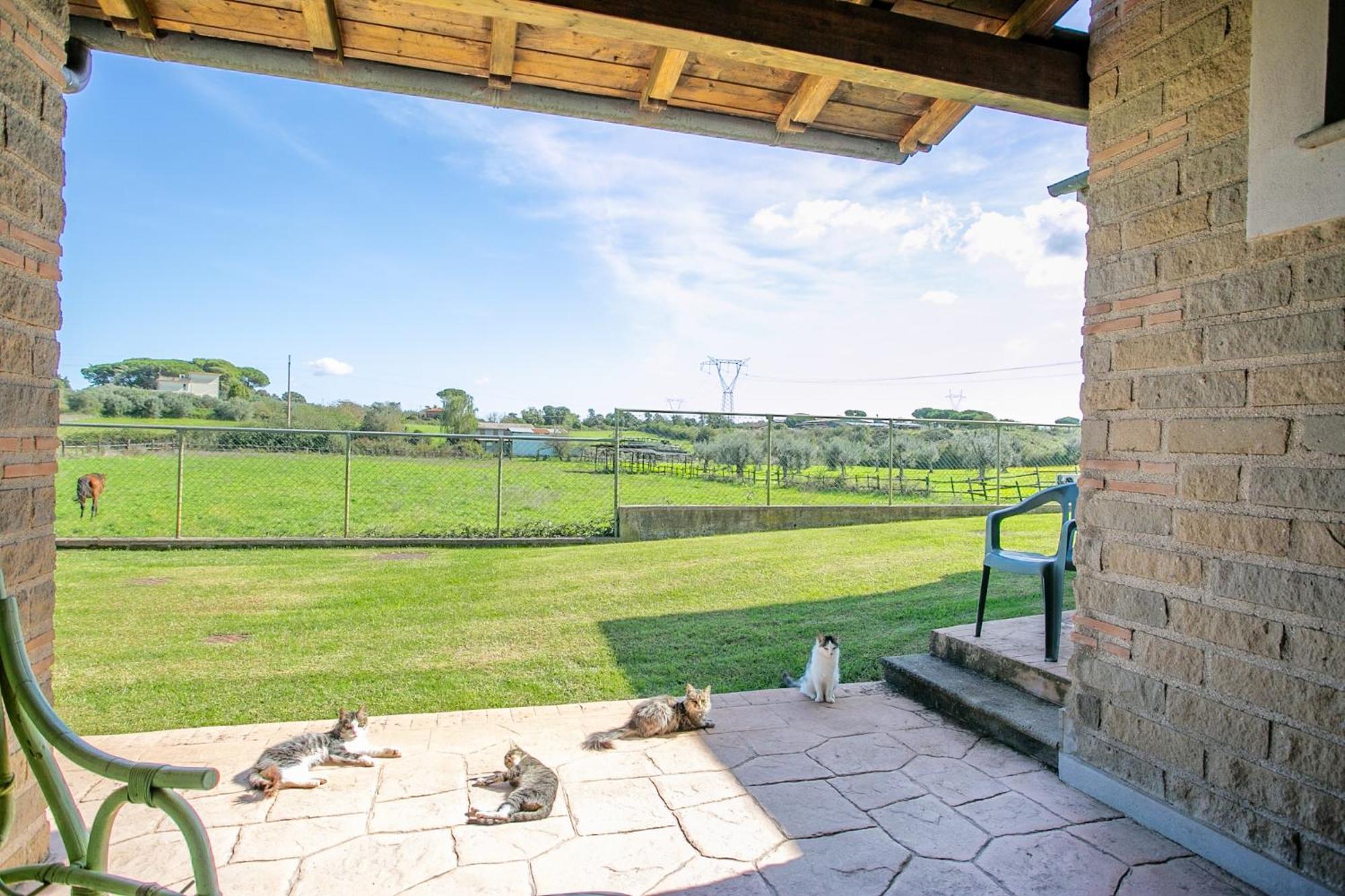 Agriturismo L.B.STUD Bracciano  Exterior foto